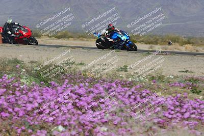 media/Feb-04-2023-SoCal Trackdays (Sat) [[8a776bf2c3]]/Turn 15 Inside Blooming (1050am)/